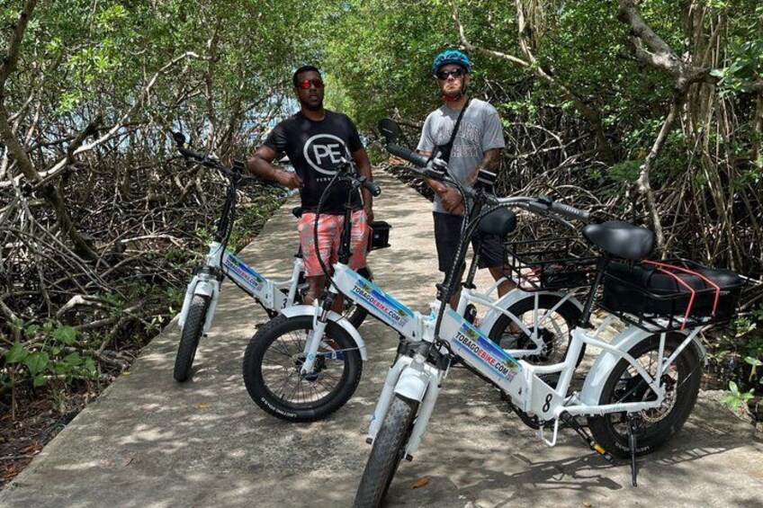 Two bicycles parked on a concrete path surrounded by dense vegetation. 5