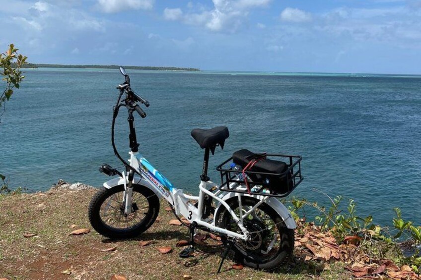 A white bicycle with a blue frame and a black seat parked on a grassy area by a body of water. 4