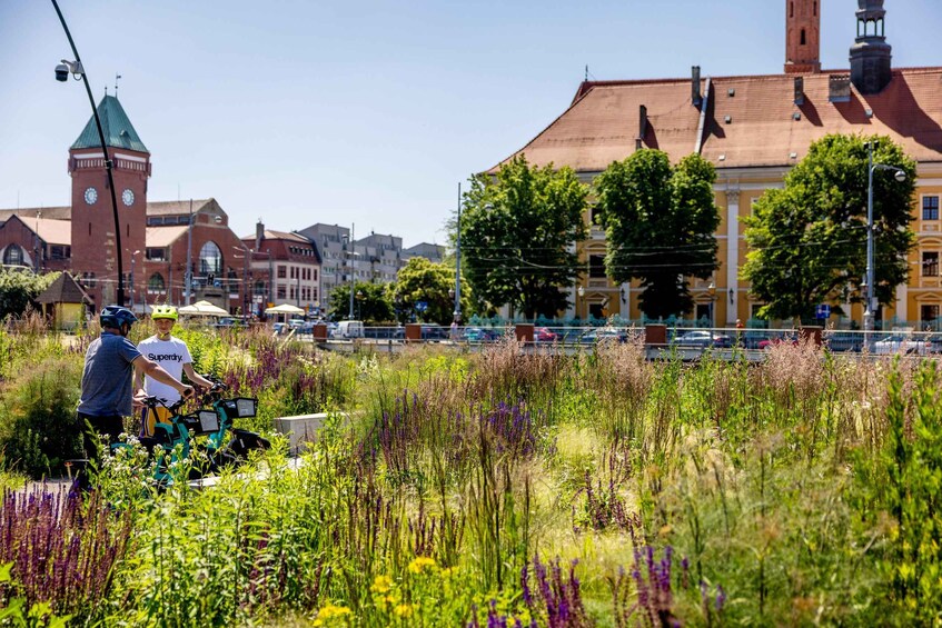 A person on a bicycle in a field with wildflowers, a red brick building with a clock tower, and a yellow building with a red roof. 2