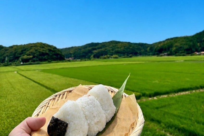 A hand holding a basket with rice and seaweed, set against a rural landscape with green fields and hills. 1