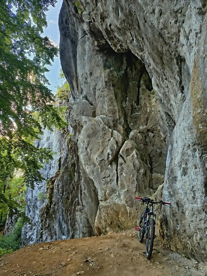 A mountain bike parked against a rocky cliff, surrounded by trees and a dirt path. 3