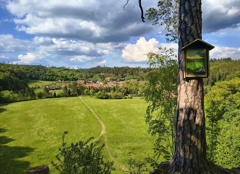 A lush green field, a village in the distance, and a tree with a birdhouse. 2