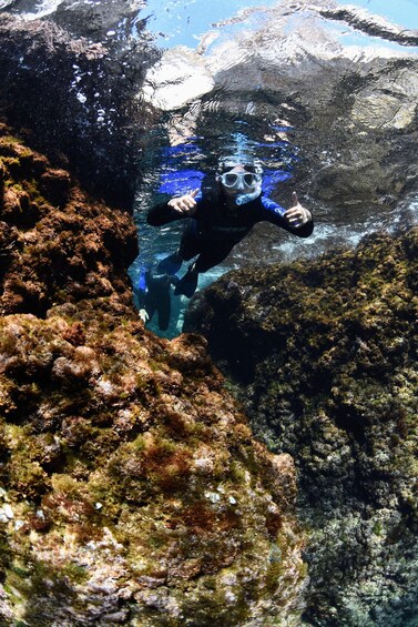 A person scuba diving underwater with rocky formations and marine life. 5