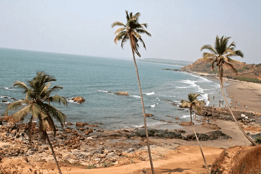 A beach with palm trees, rocky shoreline, and ocean waves. 2