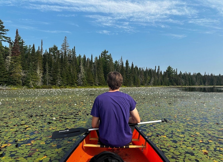 A person in a canoe on a lake surrounded by trees. 3