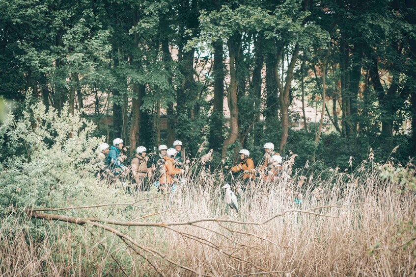 Eine Gruppe von Personen mit Helmen fährt auf Fahrrädern durch ein bewaldetes Gebiet mit hohem Gras und Bäumen. 5