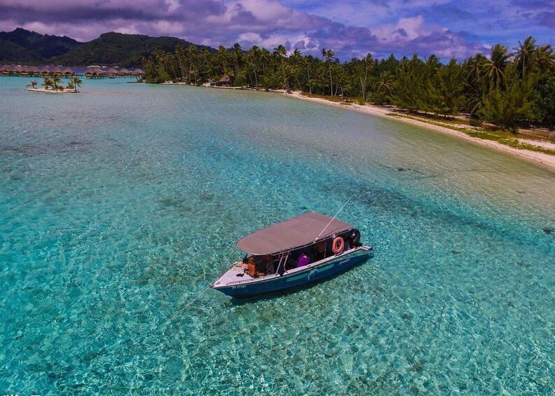 Un bote en aguas turquesas cristalinas, rodeado por una playa con palmeras y una montaña al fondo. 1