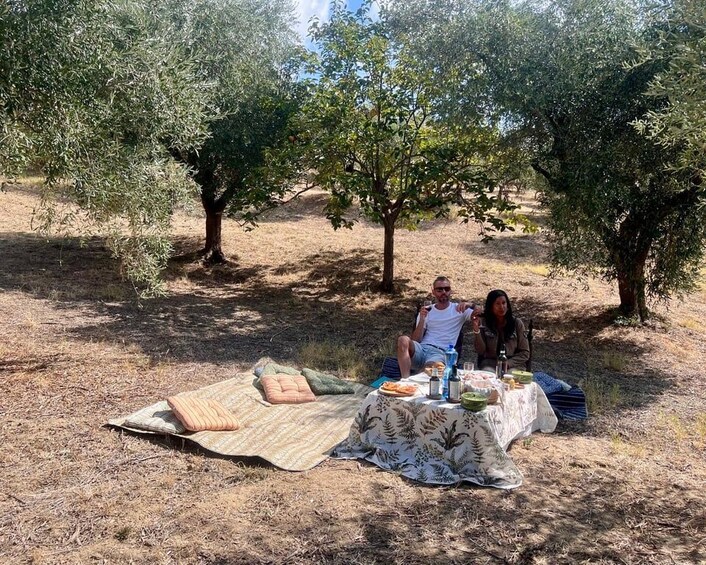 A picnic setup with a blanket, table, and food under olive trees. 4