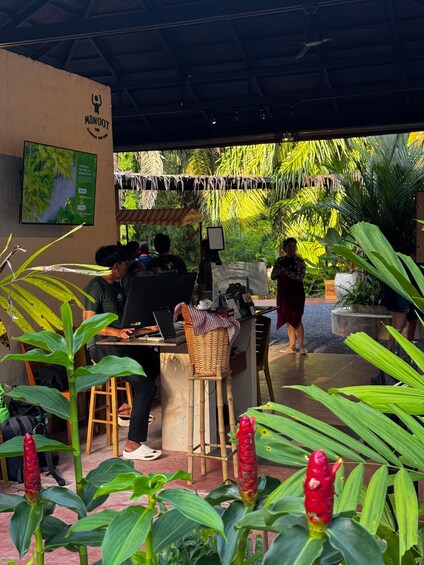 A man working at a booth with a laptop, surrounded by greenery and a canopy. 4