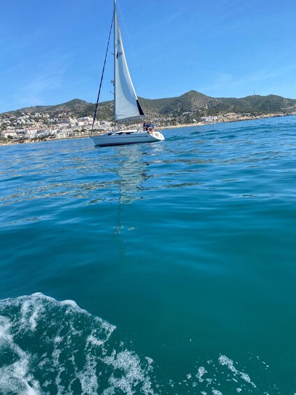 A sailboat on a calm sea with a coastal town in the background. 5