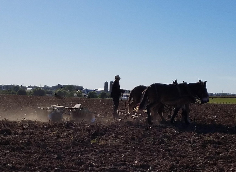 A person operating a plow with two horses in a field. 2