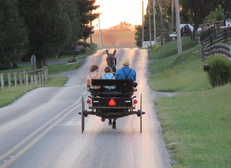 A horse-drawn carriage with three passengers on a rural road. 5