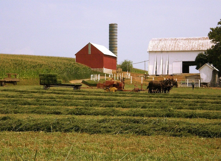 A rural farm with a red barn, a white barn, and a silo. There are horses and a cart in the foreground. 1