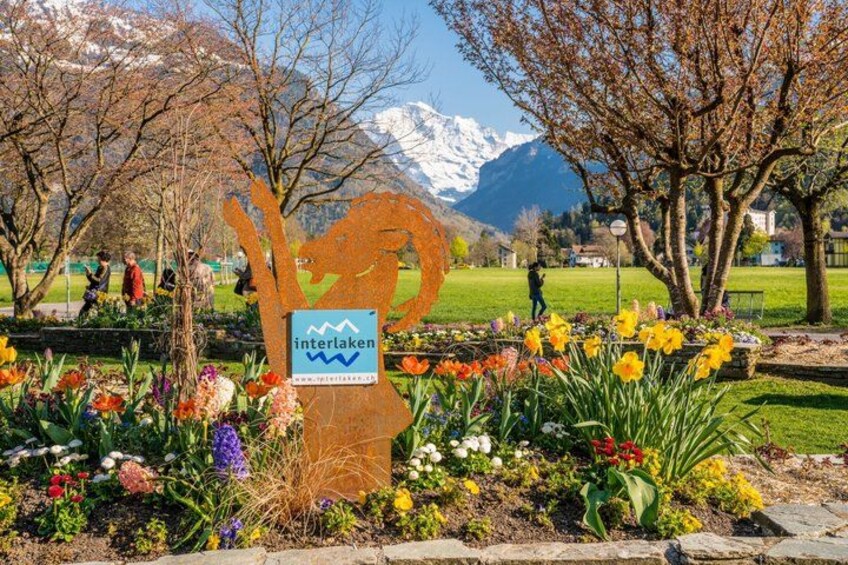 A park with a sign reading 'interlaken,' surrounded by colorful flowers and trees with a mountain backdrop. 1