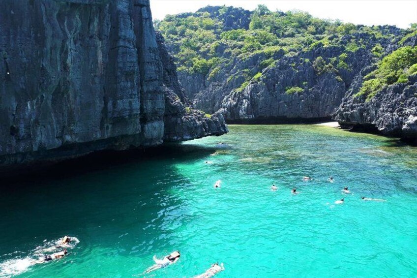 A group of people swimming in clear turquoise water surrounded by rocky cliffs and lush greenery. 4