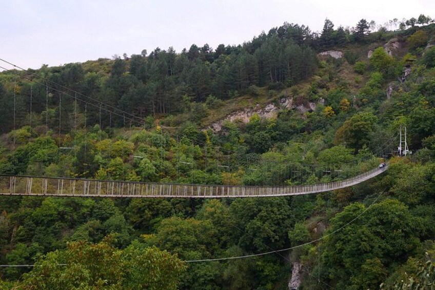 A cable car bridge over a forested hillside. 4