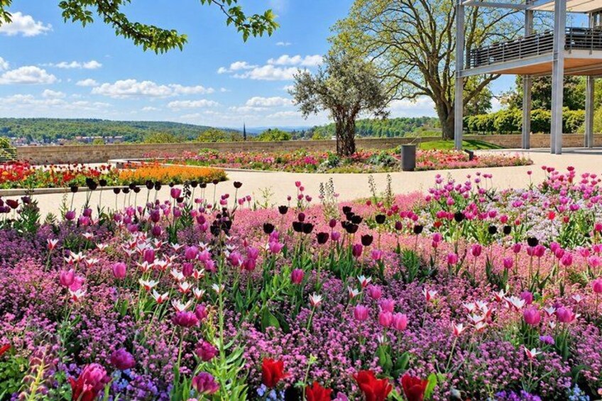 A garden with various flowers and a modern building in the background. 2