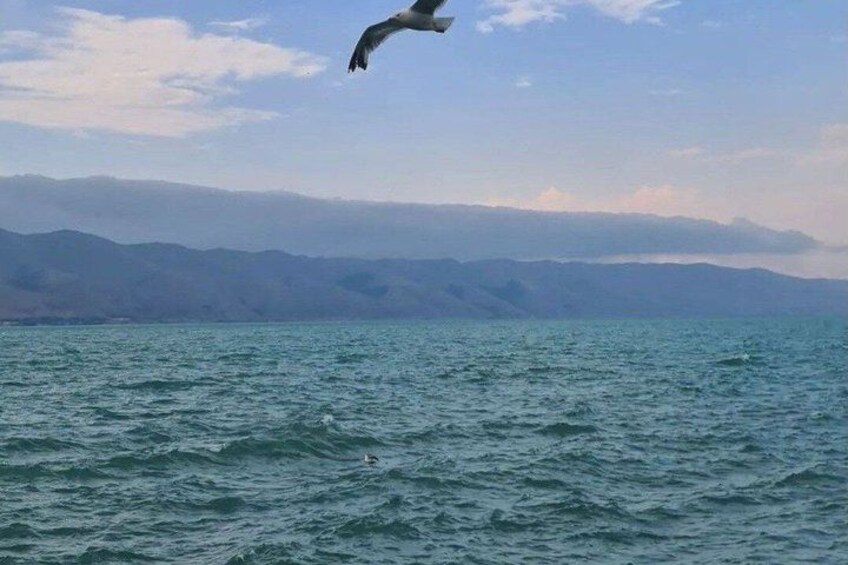 A bird flying over a body of water with mountains in the background. 1