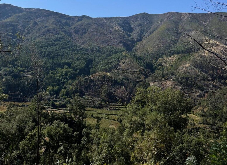 A mountainous landscape with dense forests and a valley. 2