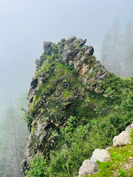 Picture 11 for Activity Shimla: Shali Tibba Guided Hike with Scenic Views 2