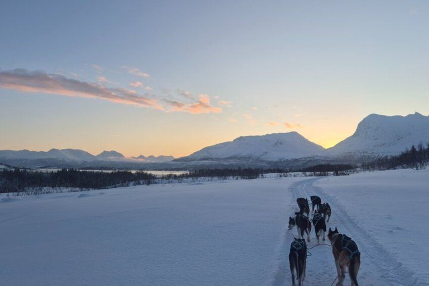 A group of sled dogs pulling a sled across a snowy landscape with mountains in the background. 3