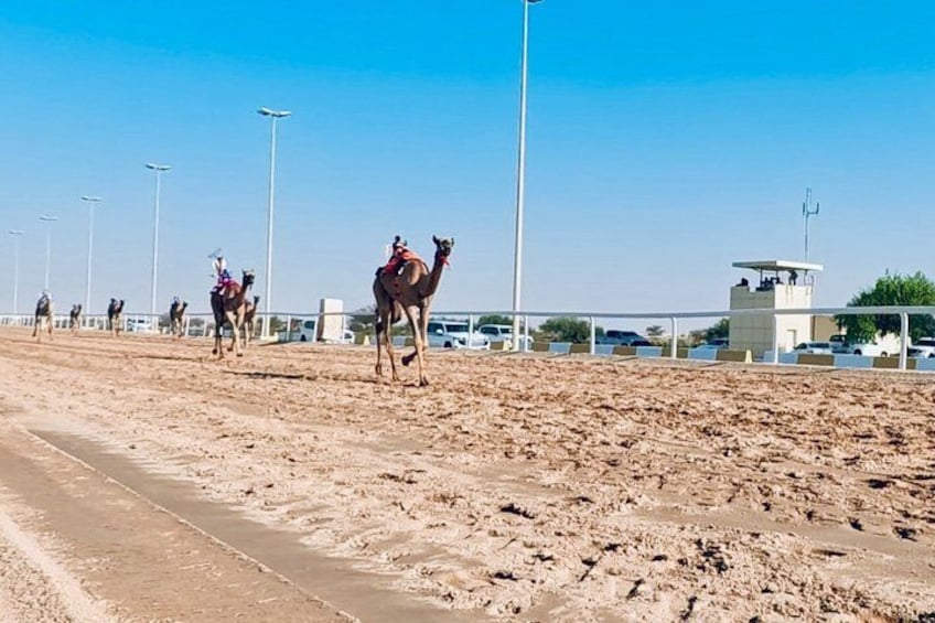 A desert track with camels and riders, a clear sky, and a distant control tower. 1