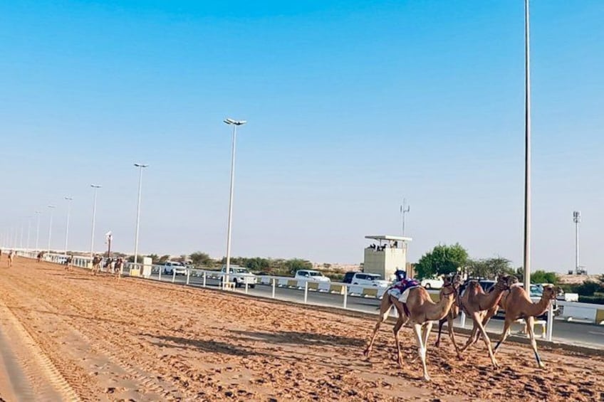 A desert road with camels and riders, streetlights, and a guardhouse. 5