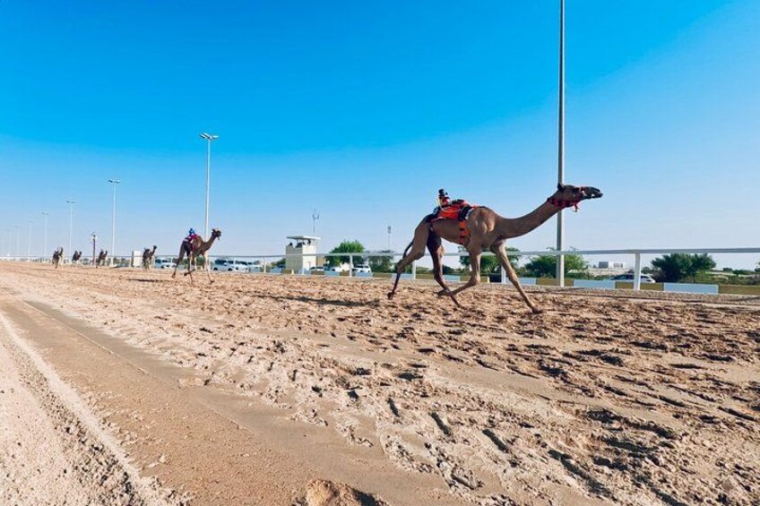 A desert road with camels and riders, street lamps, and a clear sky. 2