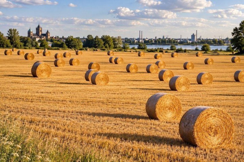 A field of hay bales with a distant cityscape and water body. 4