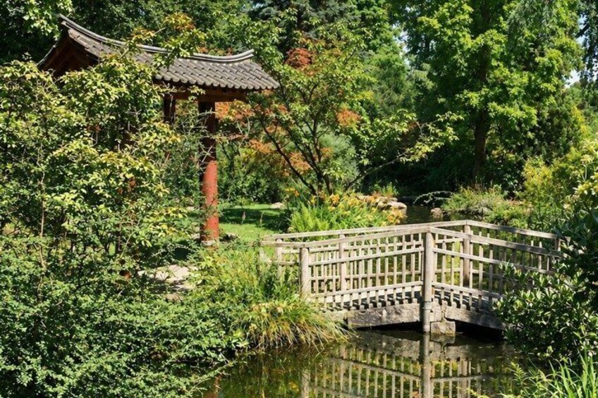 Un puente de madera tradicional sobre un estanque, rodeado de abundante vegetación y una estructura de estilo pagoda. 2