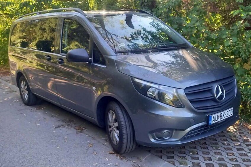 A gray Mercedes-Benz minivan parked on a paved road with trees in the background. 5