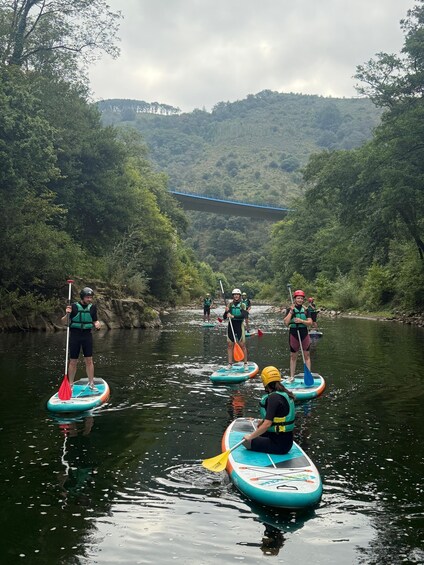 People paddleboarding on a river surrounded by lush greenery and a bridge in the background. 2