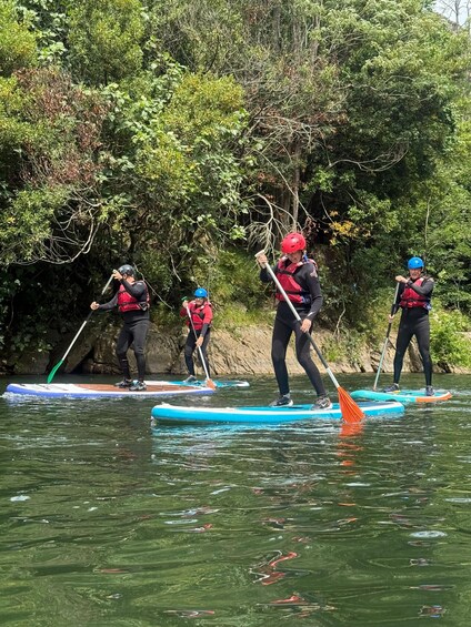 People paddleboarding on a river surrounded by dense greenery. 3