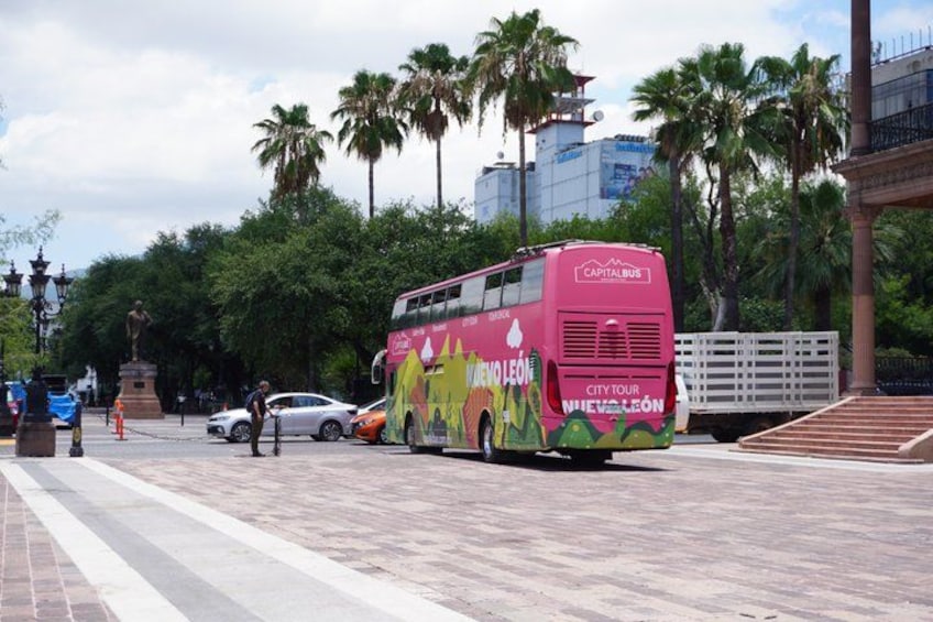 A pink double-decker bus with 'City Tour' and 'Wien' on the side, parked on a paved area with palm trees and buildings in the background. 4