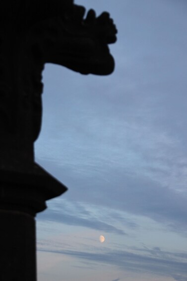 A silhouette of a statue against a twilight sky with a visible moon. 2