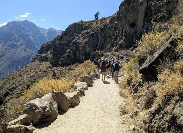 A group of hikers on a rocky mountain trail with a clear sky. 2