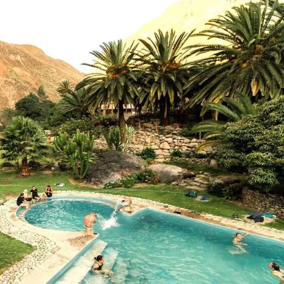 A swimming pool surrounded by palm trees and rocks. 4