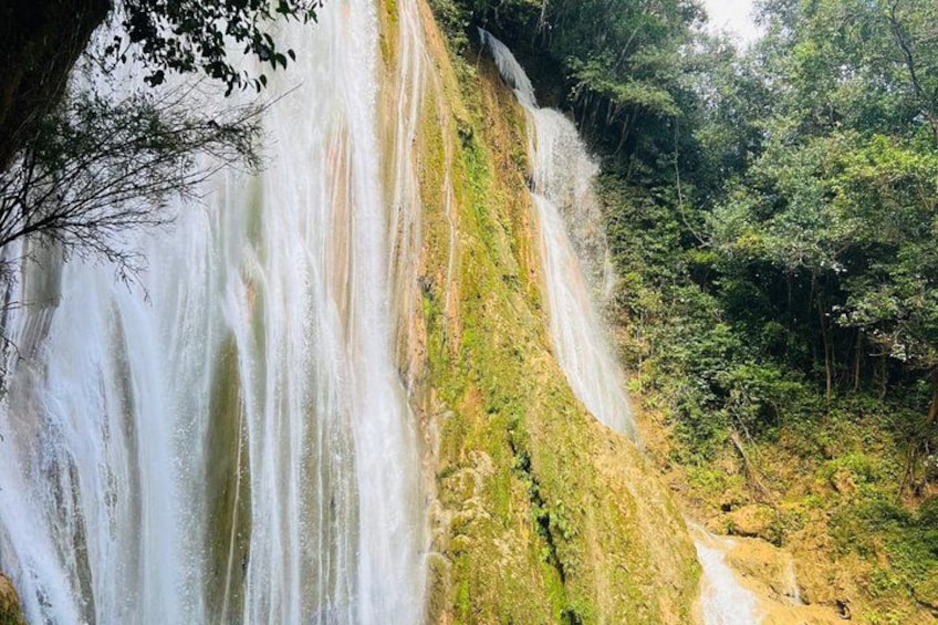 A waterfall cascading down a grassy slope surrounded by dense forest. 5