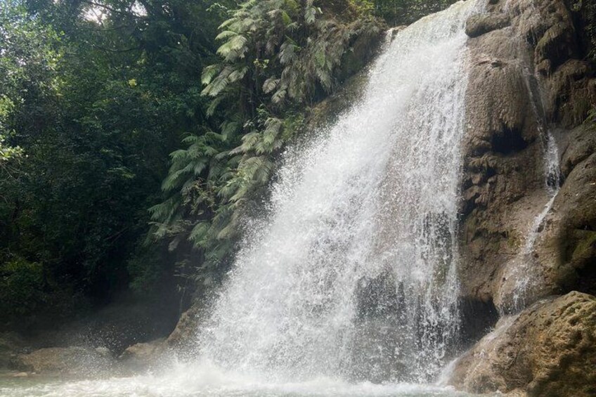 A waterfall cascading down a rocky cliff surrounded by dense greenery. 4
