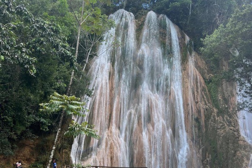 A waterfall cascading down a rocky cliff surrounded by dense green foliage. 1