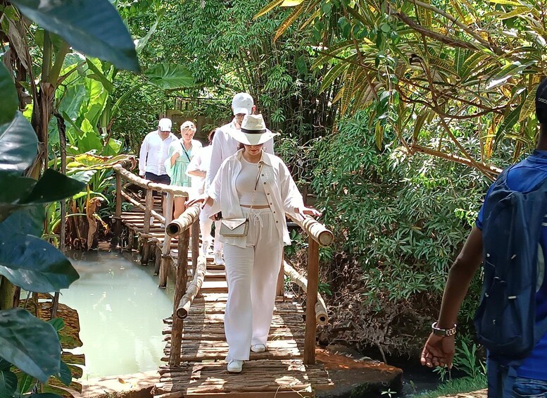 Een groep mensen loopt over een houten brug boven een waterpartij in een weelderige, groene omgeving. 2