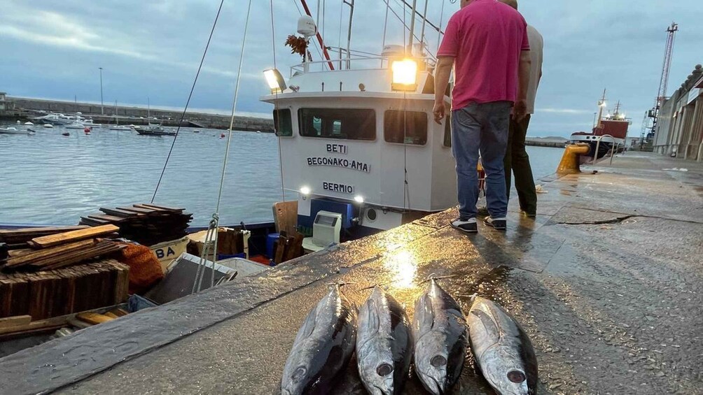 A man unloading fish from a boat named BETI BEGONAKO-AMA at a dock. 2