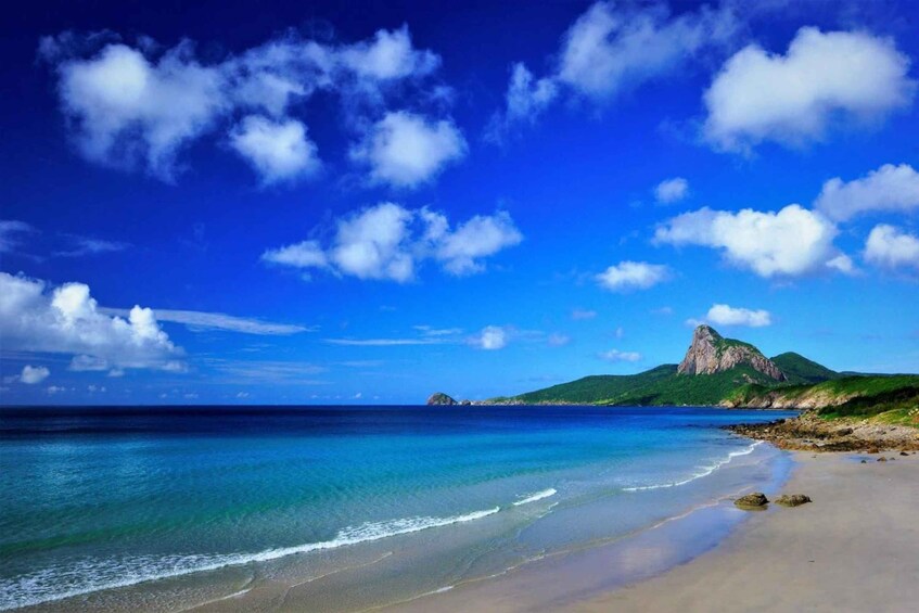 A beach with clear blue water, a sandy shore, and a prominent mountain in the distance. 1