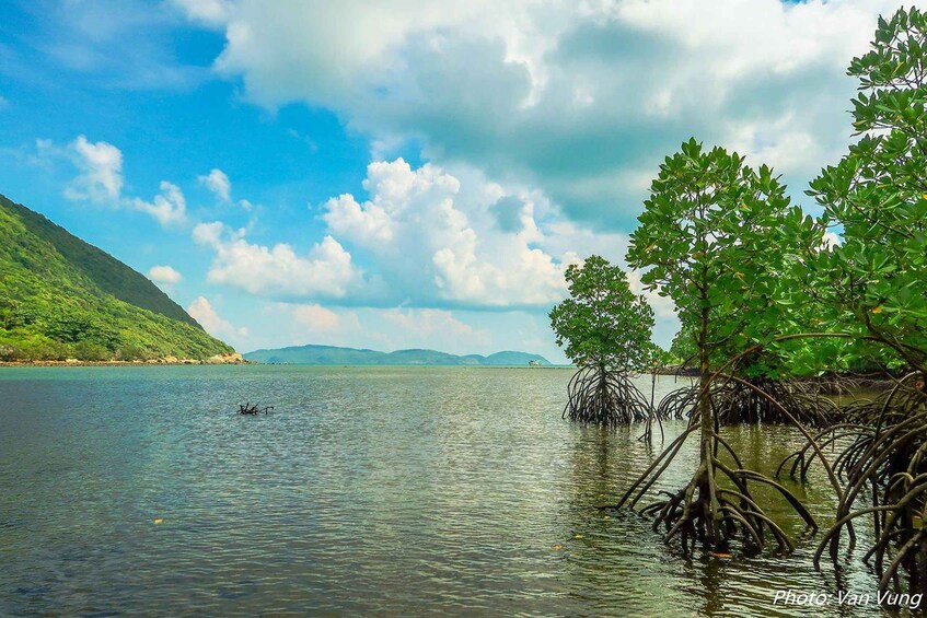 A calm lake with a clear sky, surrounded by lush greenery and distant mountains. 3