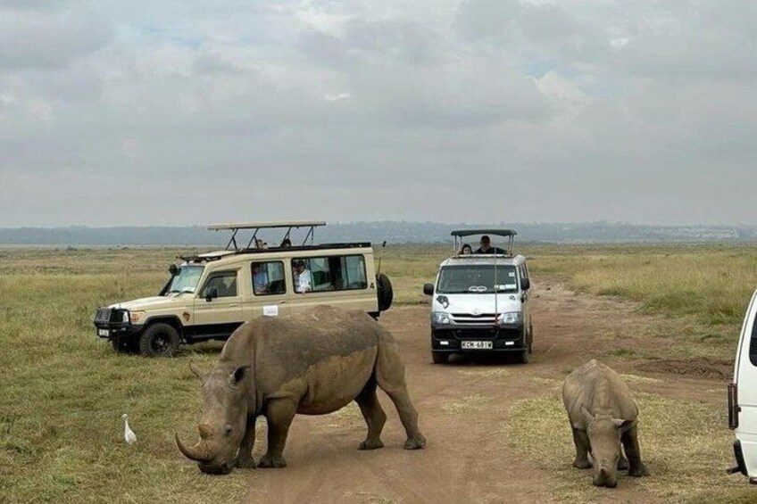 4 Days Serengeti Ngorongoro and Lake Manyara Safari Experience 4