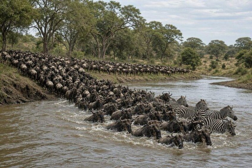 3 Days Serengeti and Ngorongoro Safari Experience in Tanzania 5