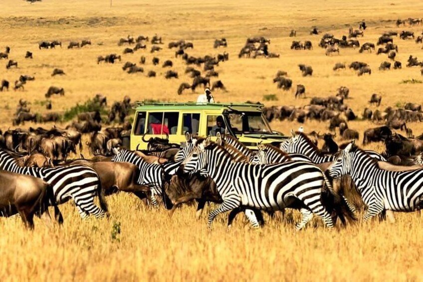 3 Days Serengeti and Ngorongoro Safari Experience in Tanzania 4