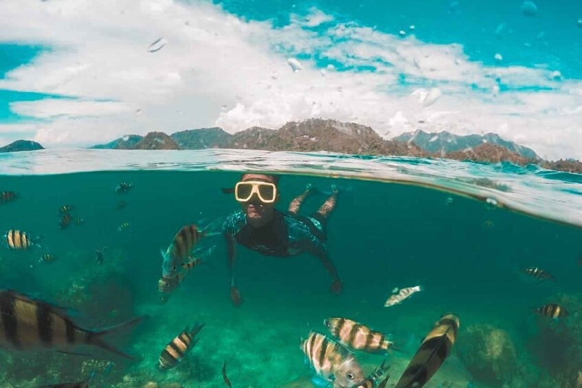 Una persona practica snorkel en aguas azul turquesa, con peces tropicales y un paisaje montañoso al fondo. 1