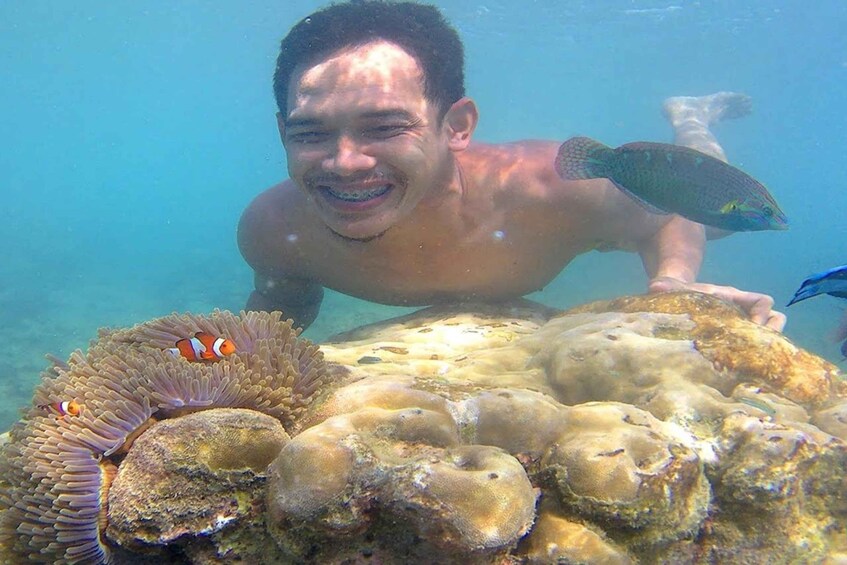 Una persona bajo el agua con un pez y un arrecife de coral. 5