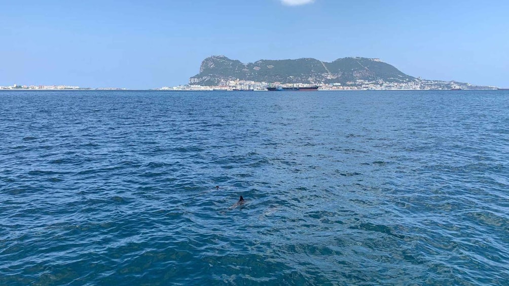 A calm sea with a large ship in the distance and a mountain in the background. 4